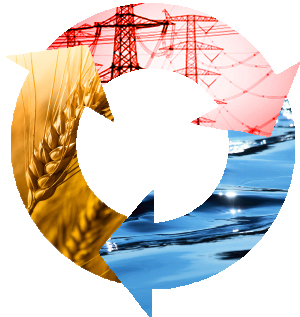 Sustainable food, sustainable agriculture, organic nutrients