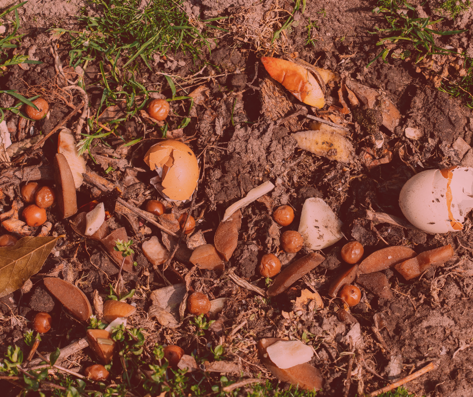 Food waste photo