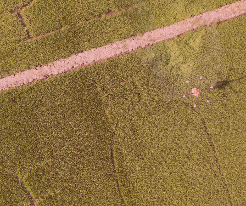 top view of green farm photo