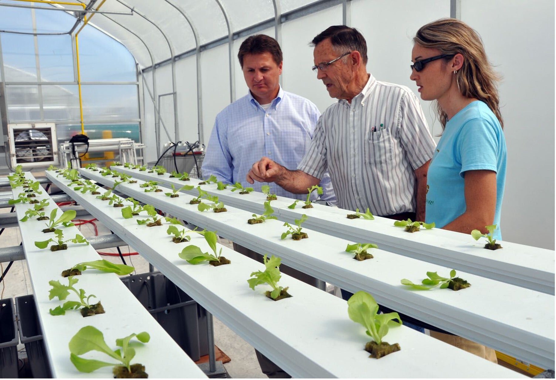 Sustainable Approaches to Agriculture Input Research & Development – P ...
