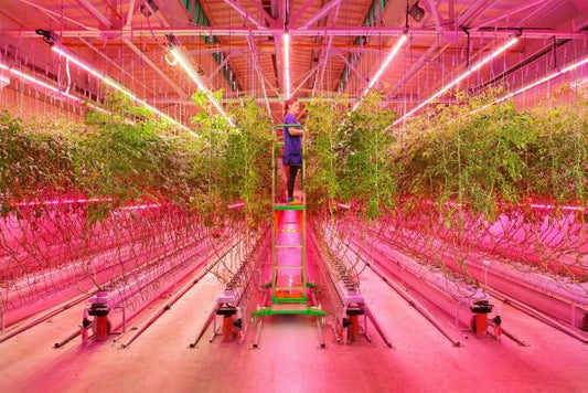 The Food-Energy-Water Nexus for Indoor Farms