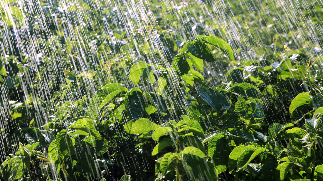 Understanding Water Labor Costs in Farming