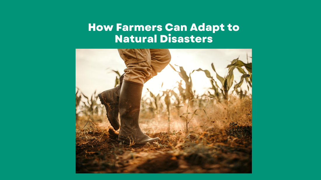 Natural Disaster Prone Areas: Which U.S. Farmlands are at Highest Risk and How Farmers Can Adapt