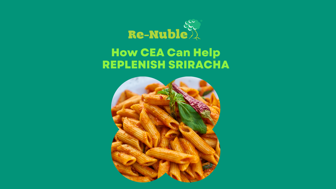 How Closed Environment Agriculture Can Help Replenish Sriracha Summary