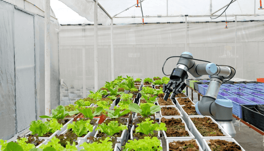 Farm Robotic Automation & Controlled Environment Agriculture: Revolutionizing Modern Farming