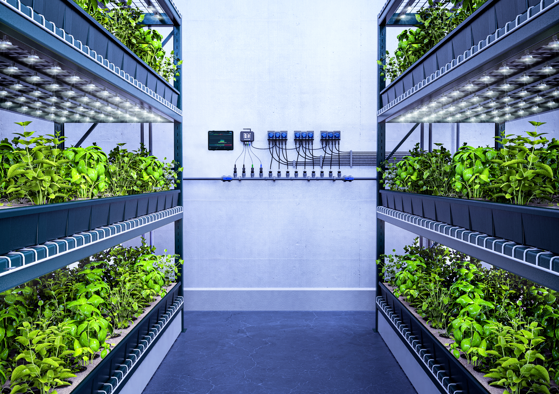 Insights: How We Built Glens Falls Vertical Farm (VF): Using Technology for Energy Cost Reduction