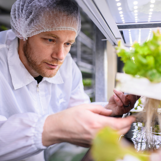 Strategies for indoor farms