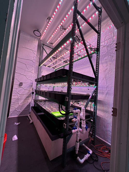 The Benefits of Vertical Grow Racks and Their Synergy with Hydroponic Grow Mats