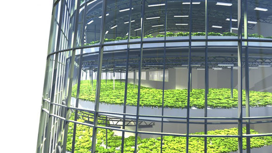 Insights – How We Built Glens Falls Vertical Farm (VF): Research Needs For a VF Business Model