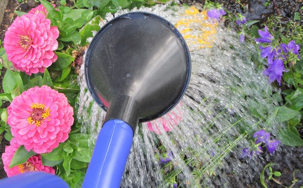 Using Microgreen Mats: ReNu Terra’s Shower Head Wetting Method