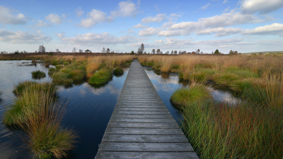 Agriculture Resource Dive: Peat