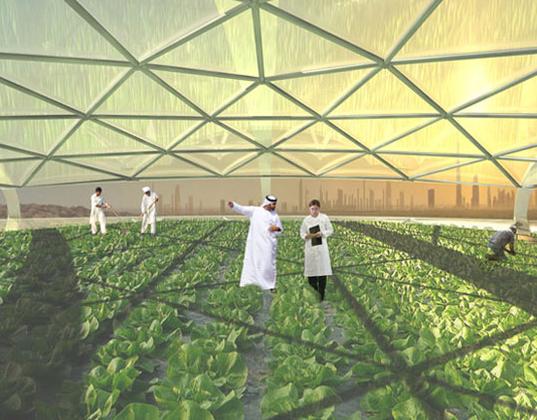 The UAE, Agriculture, and Expo Live Dubai 2020