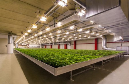 Insights – How We Built Glens Falls Vertical Farm (VF): HVAC Design - Part 2