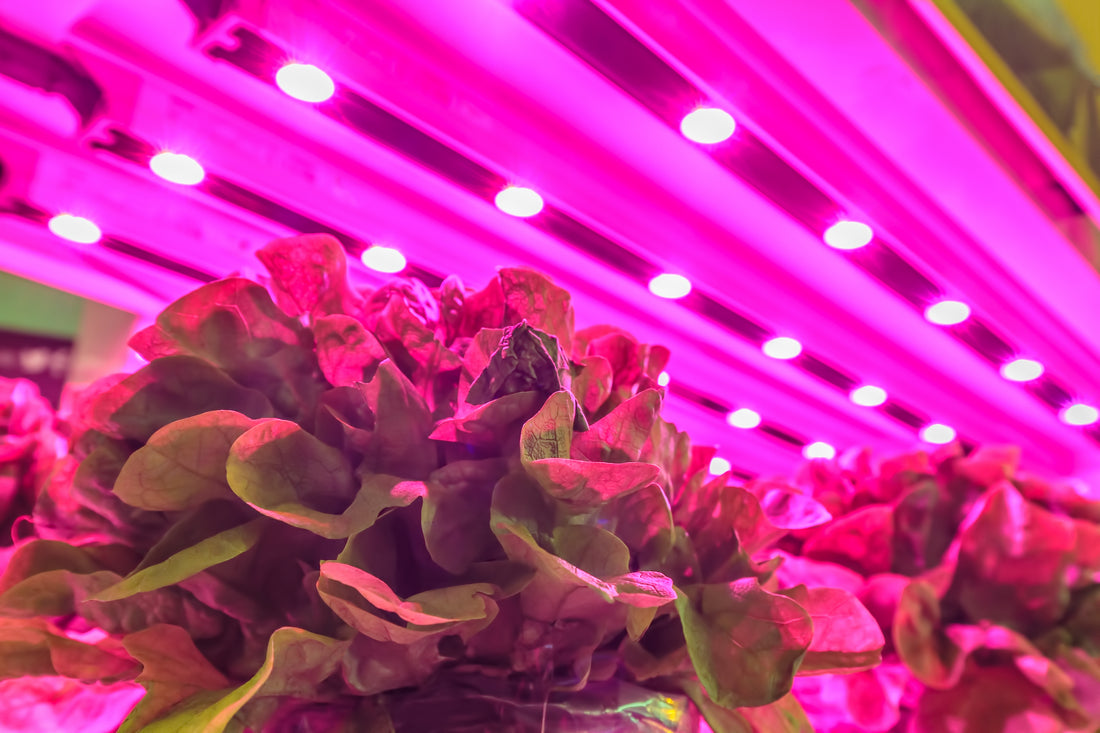 Insights – How We Built Glens Falls Vertical Farm (VF)- Time of Use Meter & Energy Costs